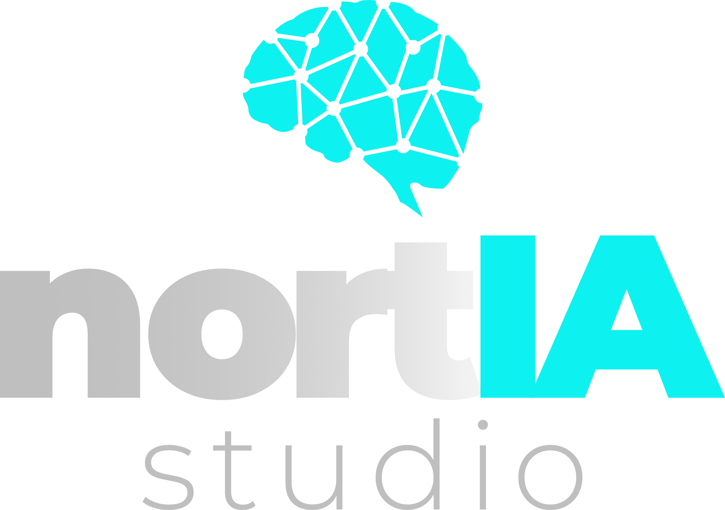 NortIA Studio Logo